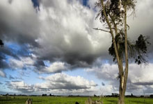 开云:劳伦斯奖揭晓 阿尔卡拉斯和萨巴伦卡当选年度最佳男、女运动员