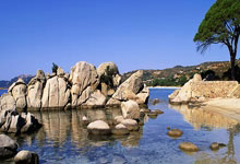 开云:竞争奥运积分 亚洲皮划艇静水锦标赛开幕